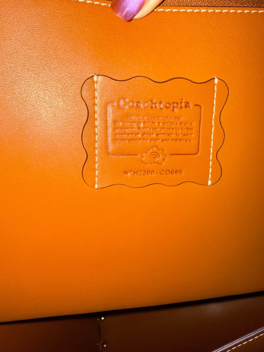 Coachtopia The Re-Laceable Tote: Large - Picture 9 of 12